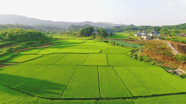 Background Lahan